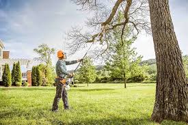 Best Tree Disease Treatment  in Lakeview Estates, GA